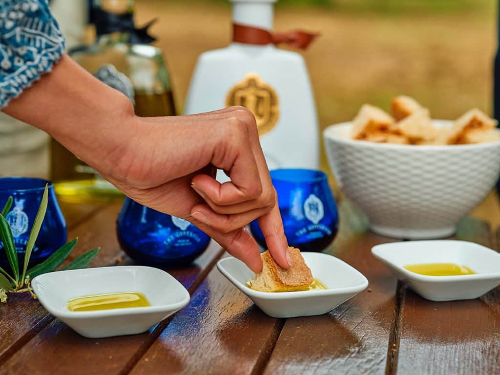 The_Governors_Olive_Oil_Tour (13)