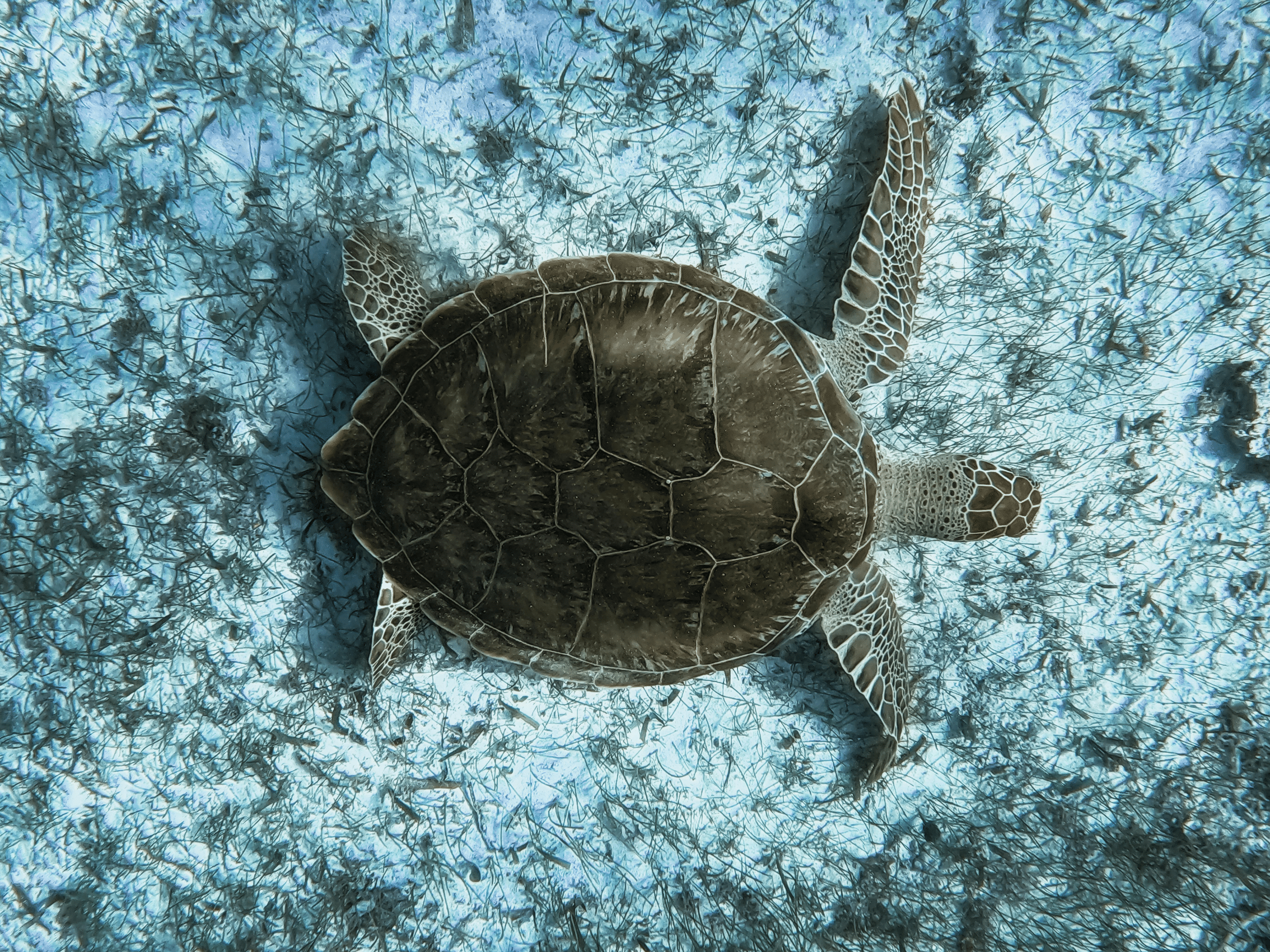 @marbellacollectiongreece (60 x 45 cm)